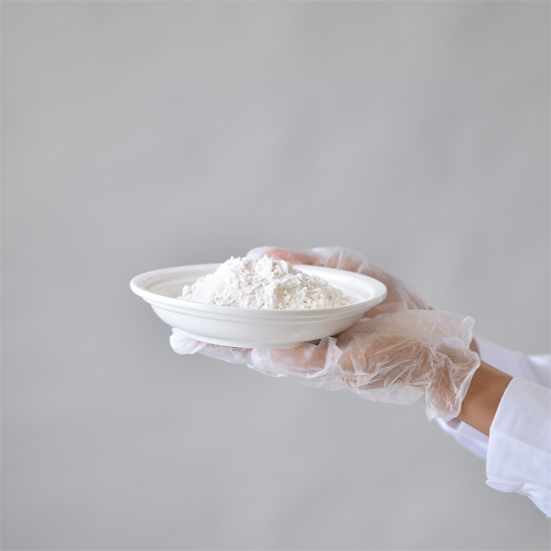 Adenosin 5â-trifosfatdinatriumsalt CAS 987-65-5