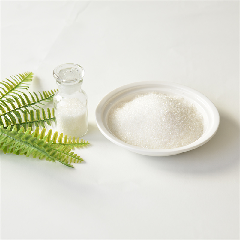 DL-karnitinhydroklorid CAS 461-05-2